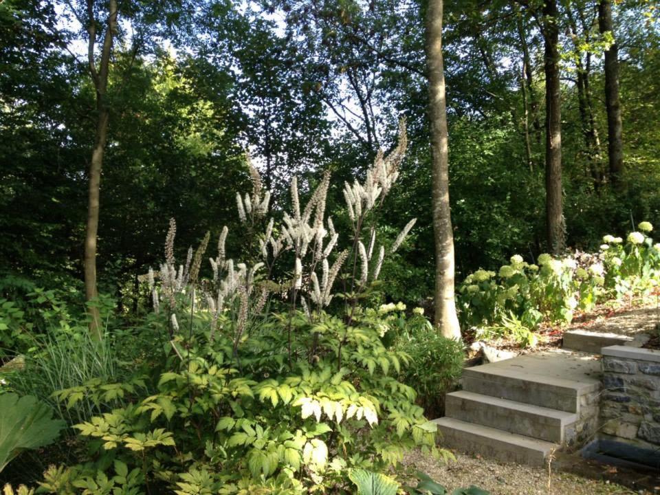Ardenne Bnb Marche-en-Famenne Buitenkant foto